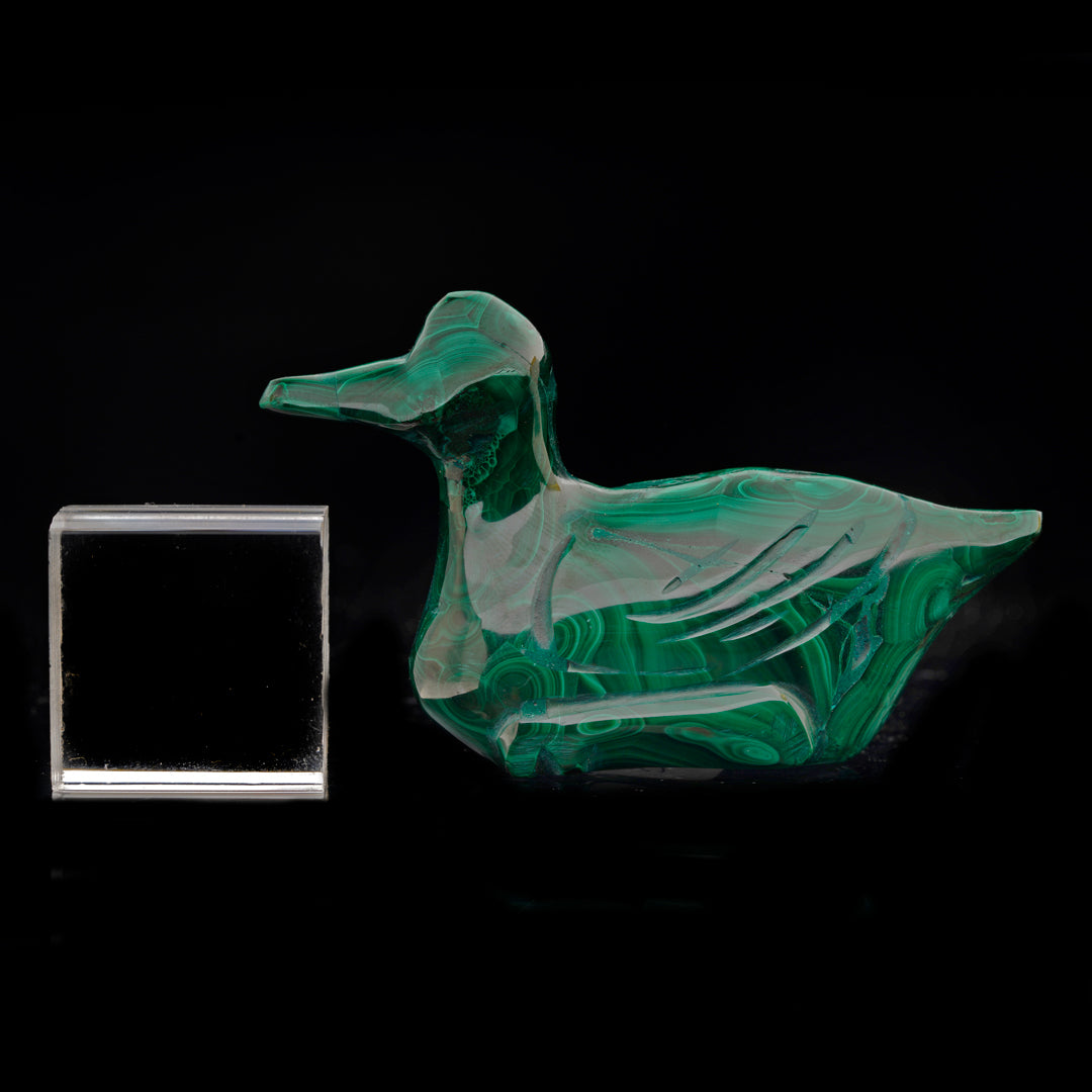 Hand-Carved Malachite Duck // 110 Grams