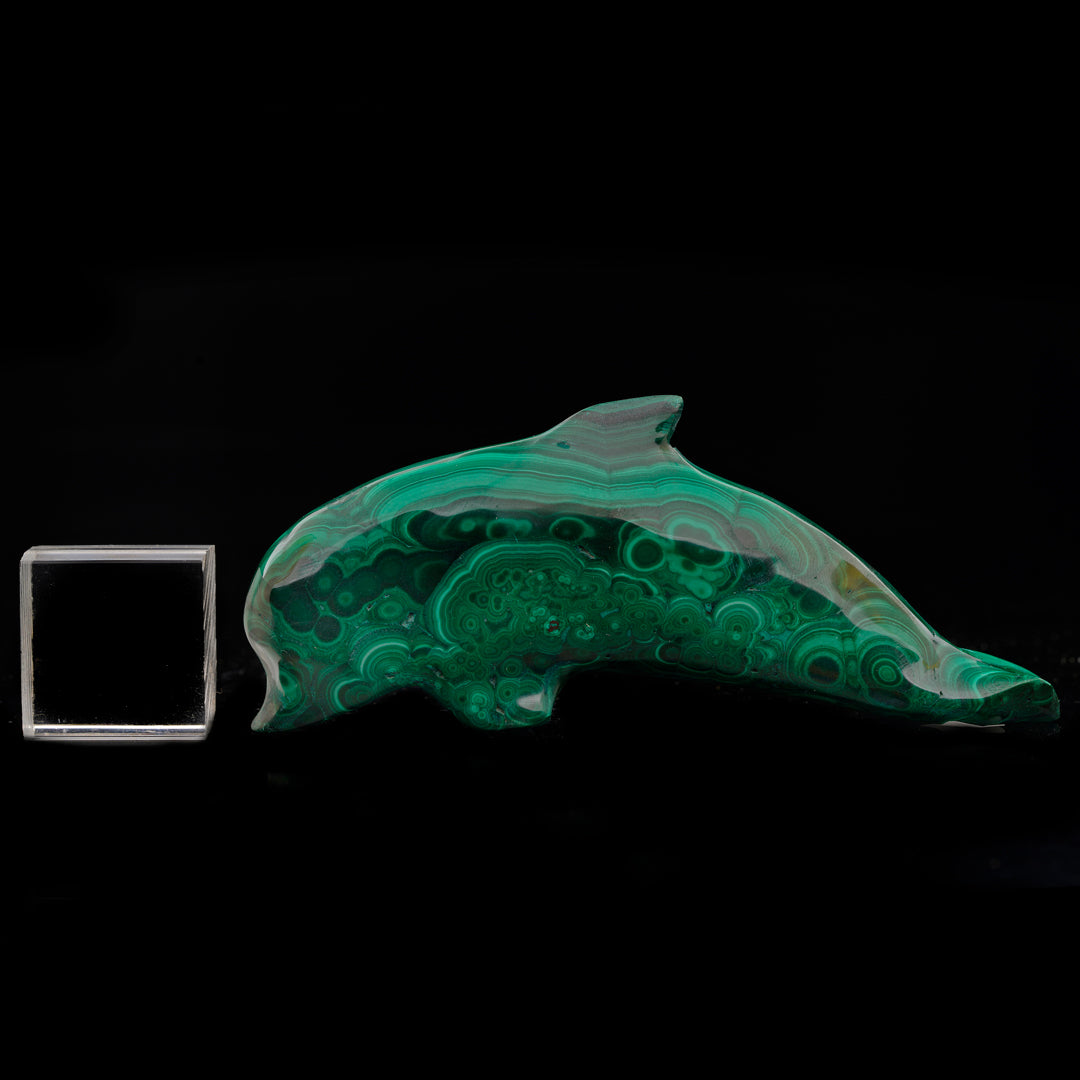 Hand-Carved Malachite Dolphin // 177 Grams