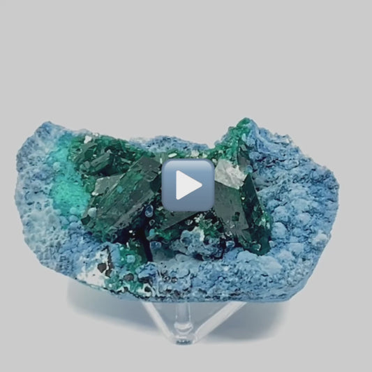 Museum Quality Dioptase on Plancheite // 319 Grams