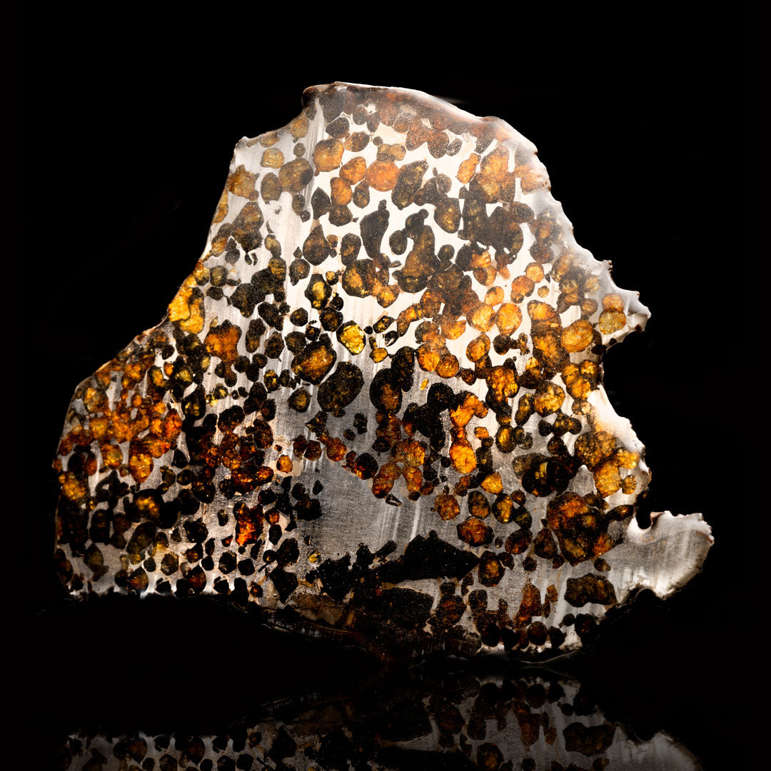 Sericho Pallasite Meteorite Slice // 181 Gramos