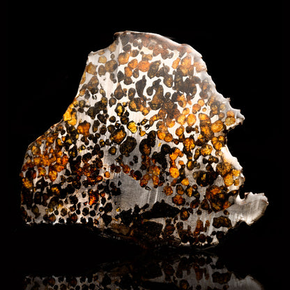 Sericho Pallasite Meteorite Slice // 181 Gramos