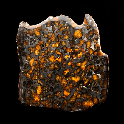 Sericho Pallasite Meteorite Slice // 113 Grams