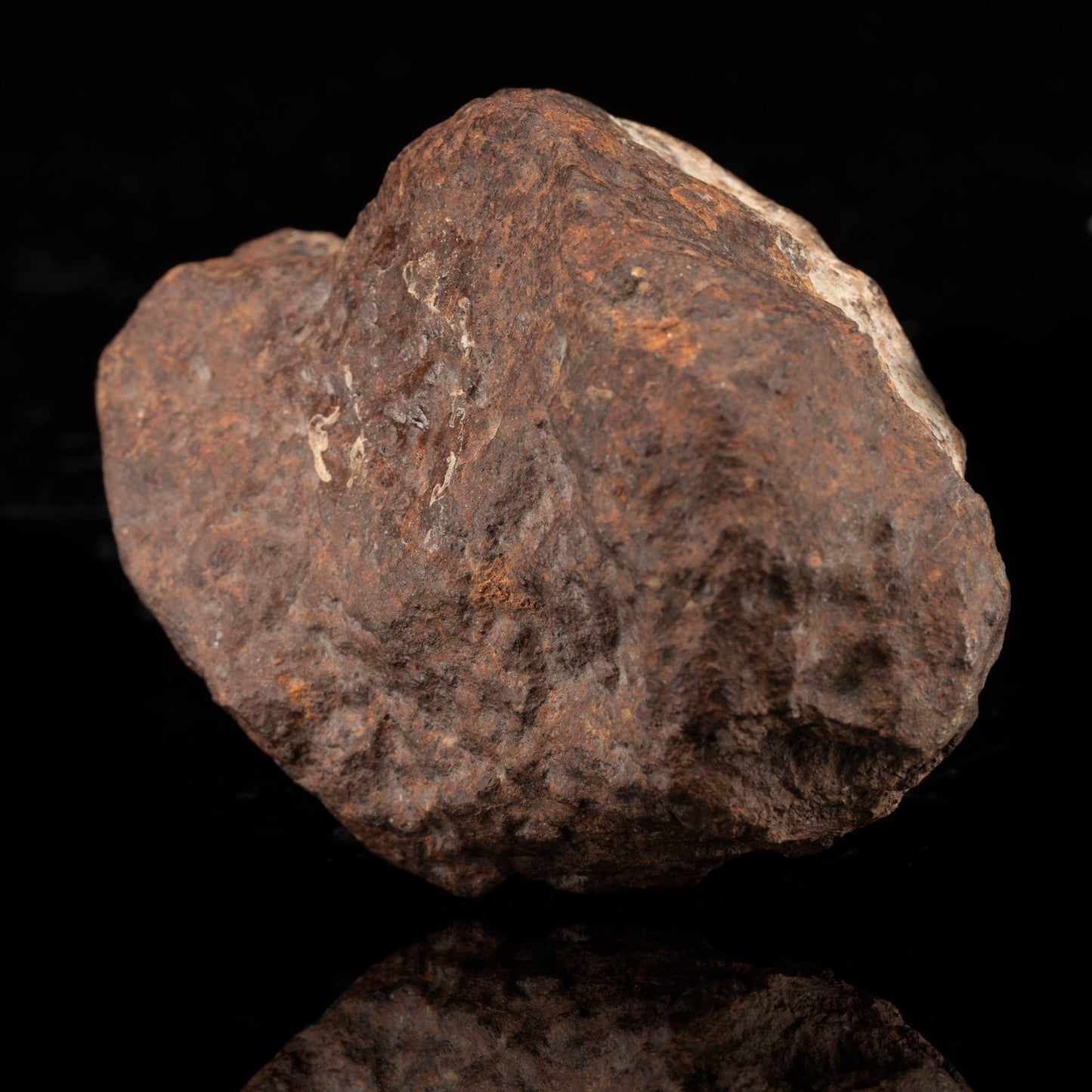 Meteorito Franconia // 1.52 Lb.