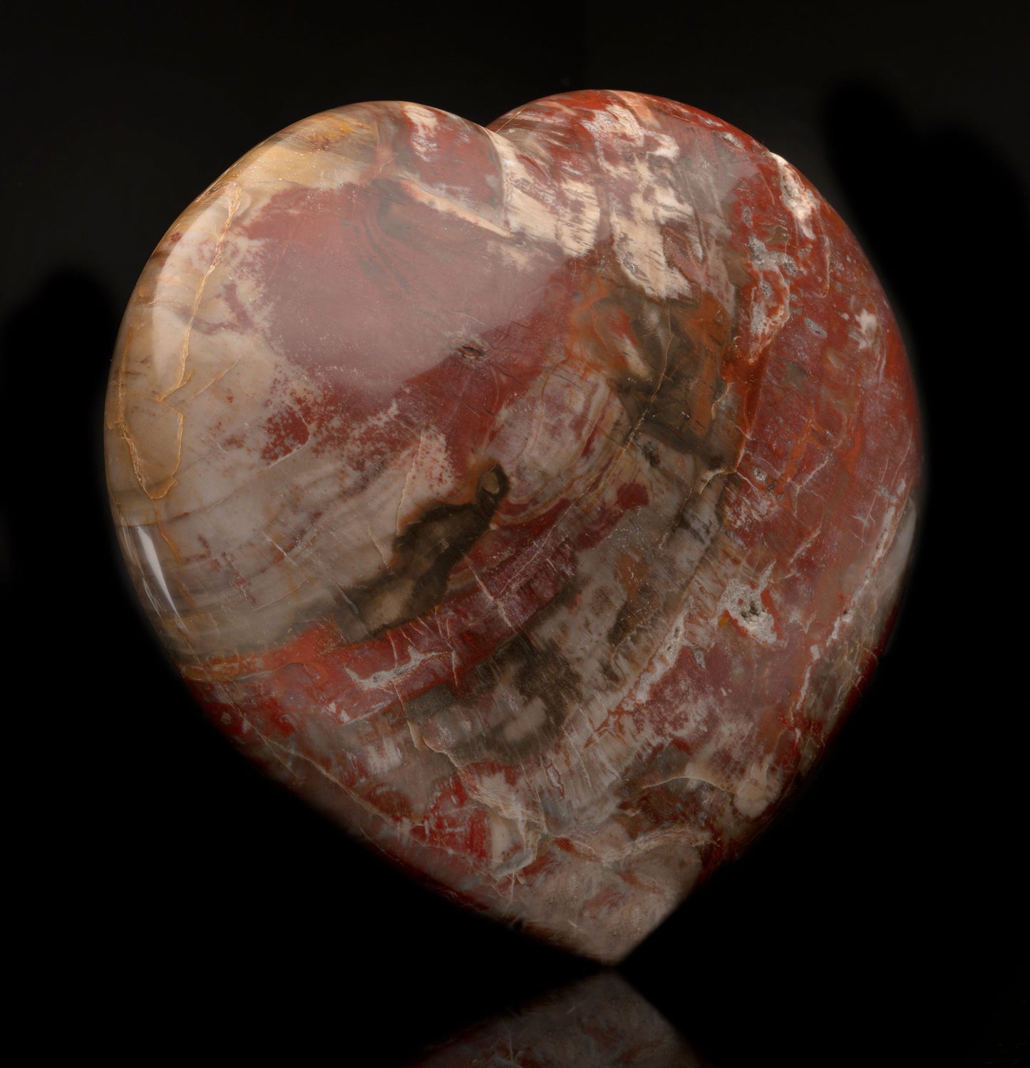 Petrified Wood Heart // 9 Lb.