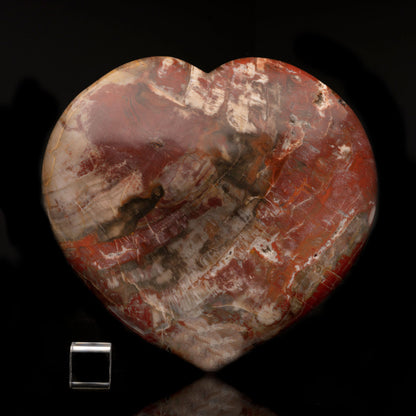 Petrified Wood Heart // 9 Lb.