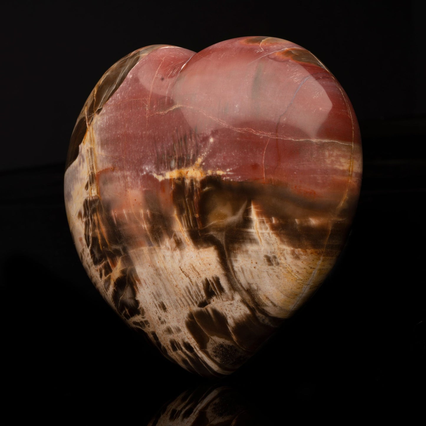 Corazón de Madera Petrificada // 2.93 Lb.