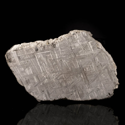Muonionalusta Meteorite Slice // 362 Grams