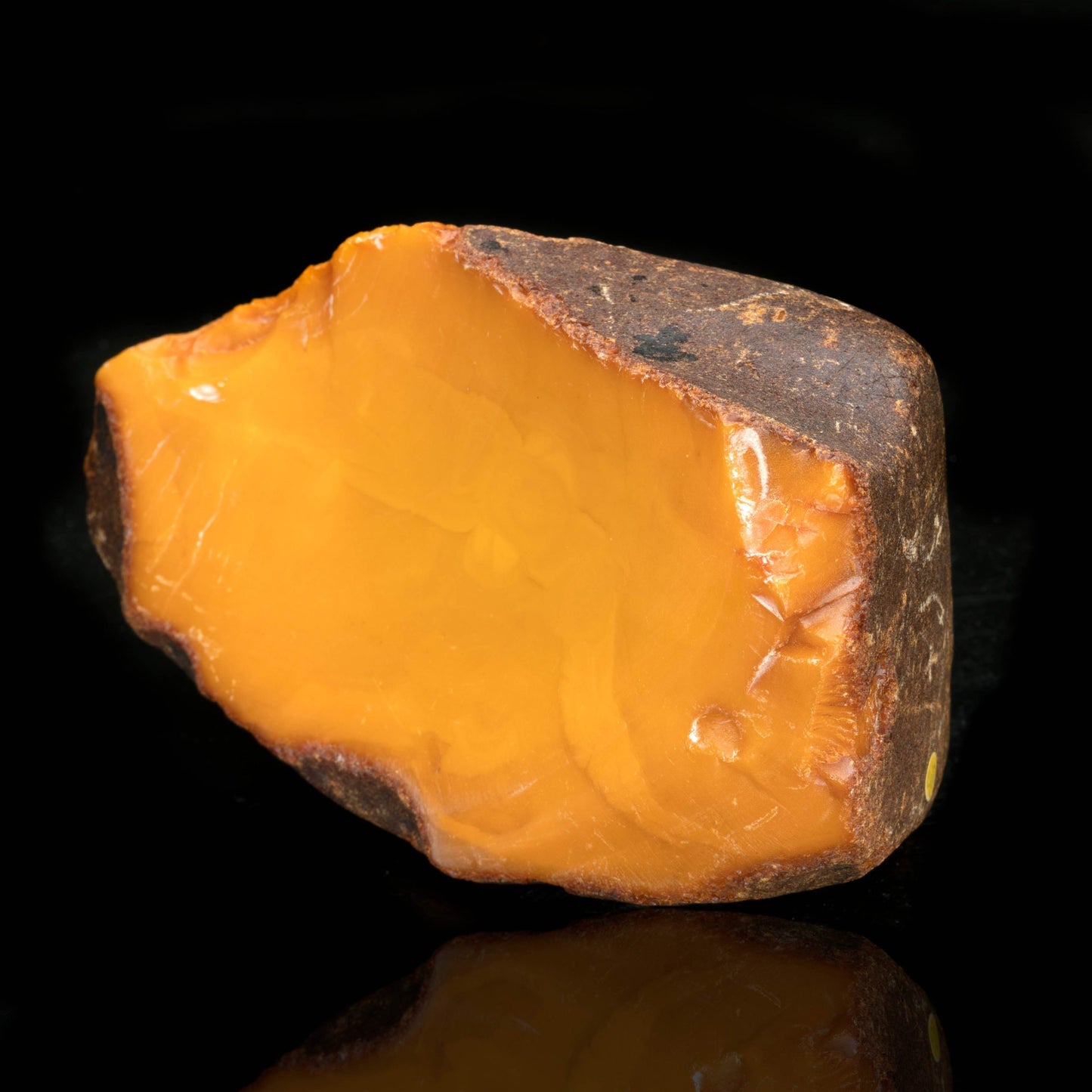 Butterscotch Amber // 385 Grams