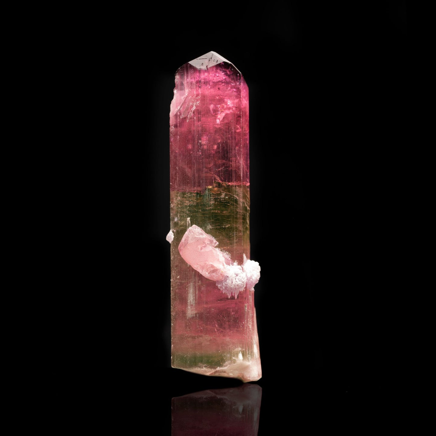 Double Terminated Watermelon Tourmaline With Lepidolite // 58.56 Grams