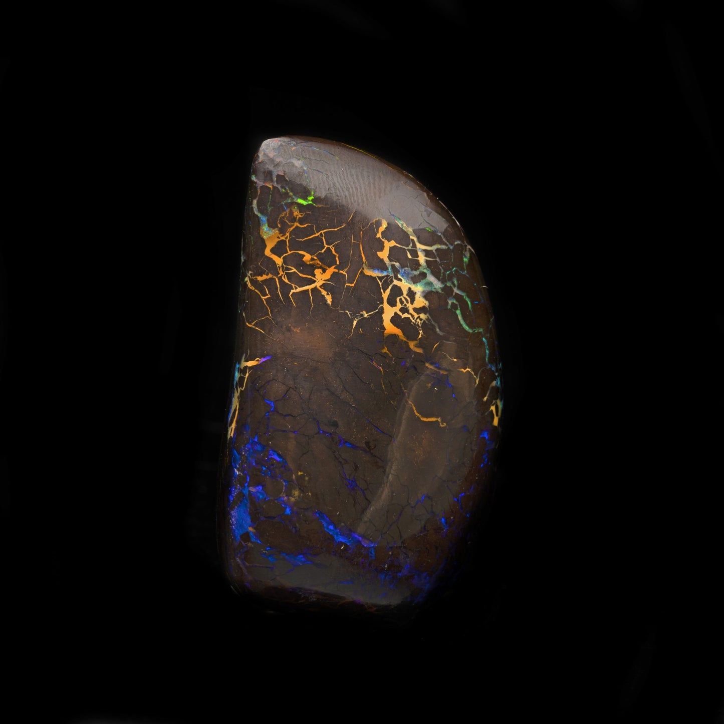 Koroit Nut Boulder Opal // 217.5 Carats