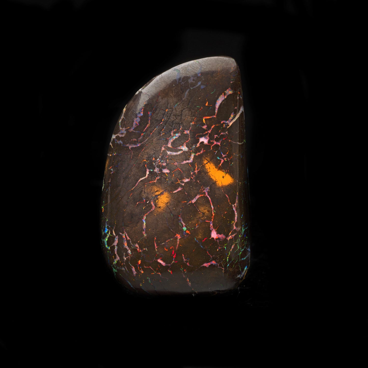 Koroit Nut Boulder Opal // 217.5 Carats