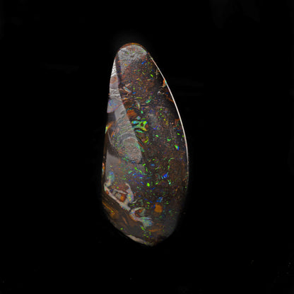 Koroit Nut Boulder Opal // 79 Carats