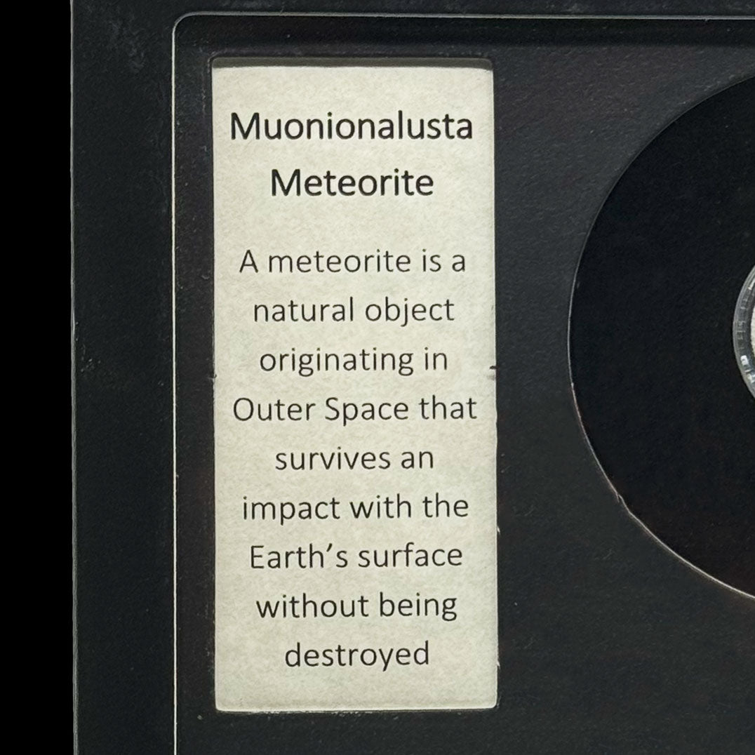 Meteorito Muonionalusta en Caja de Coleccionista