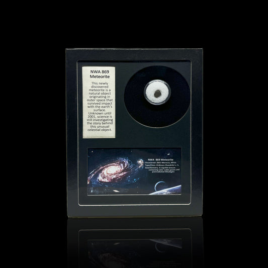 NWA Meteorite in Collector's Box