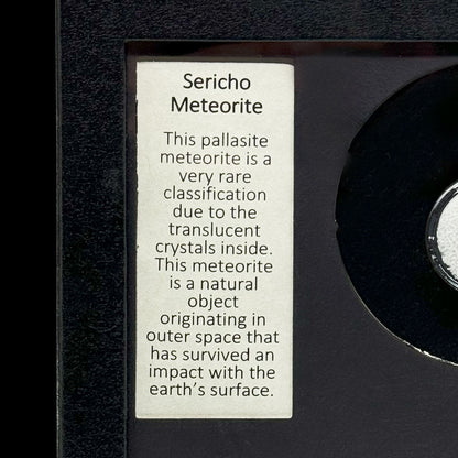 Sericho (Pallasite) Meteorite in Collector's Box