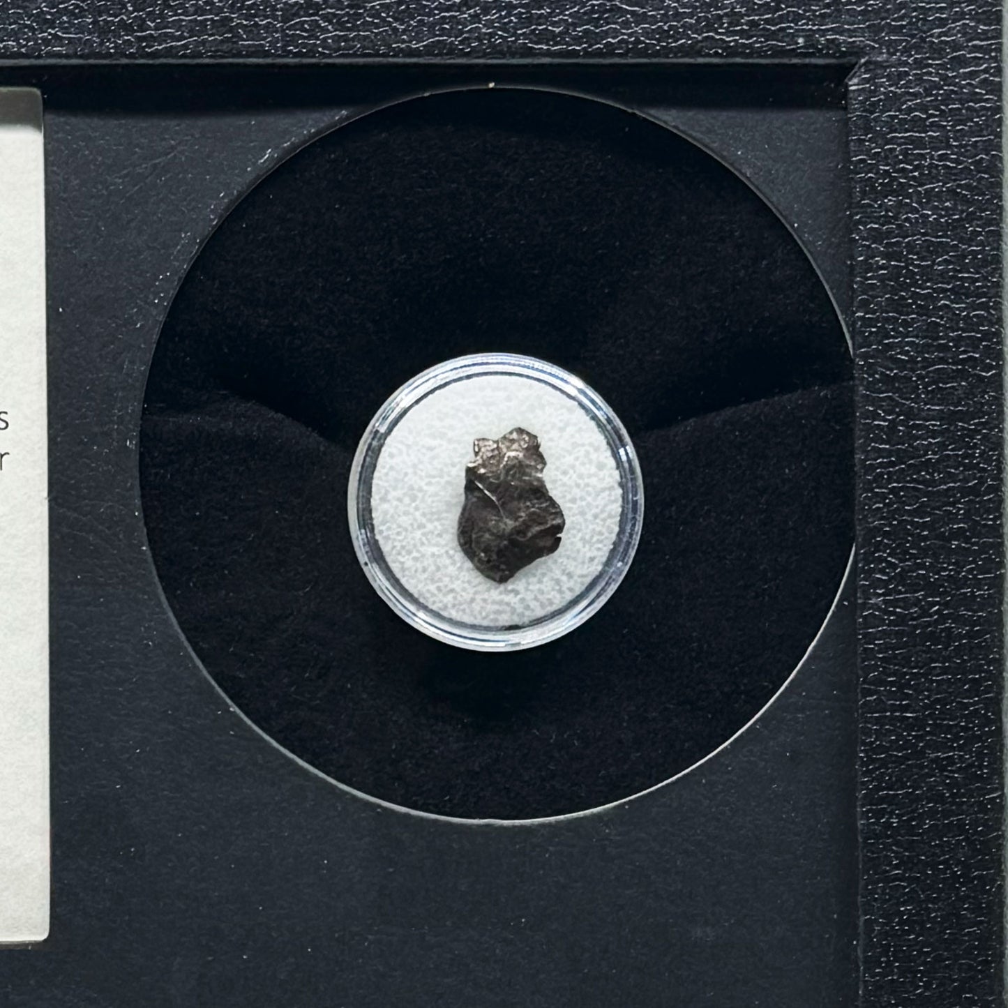 Meteorito Sikhote-Alin en caja de coleccionista