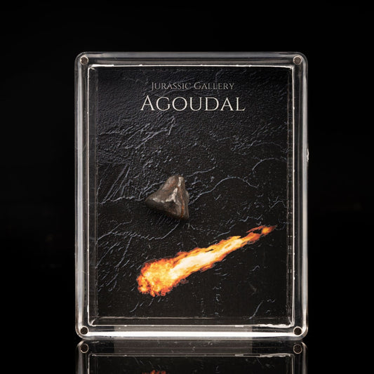 Caja de meteoritos de Agoudal
