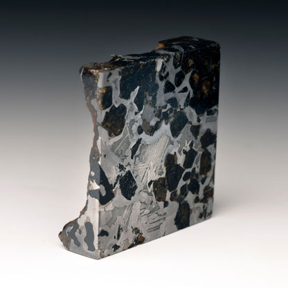 "Seymchan Corner-Cut" Pallasite Meteorite