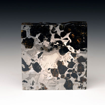 "Seymchan Corner-Cut" Pallasite Meteorite