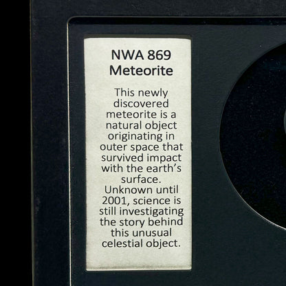 NWA Meteorite in Collector's Box