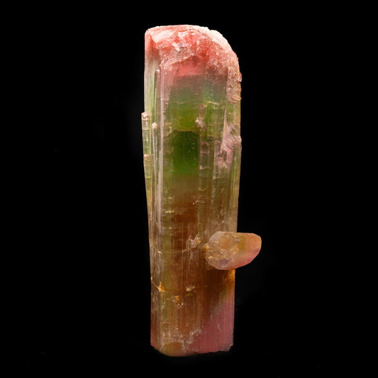 Watermelon Tourmaline From Paprok, Afghanistan // 193 Grams