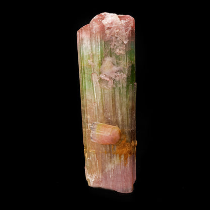 Watermelon Tourmaline From Paprok, Afghanistan // 193 Grams