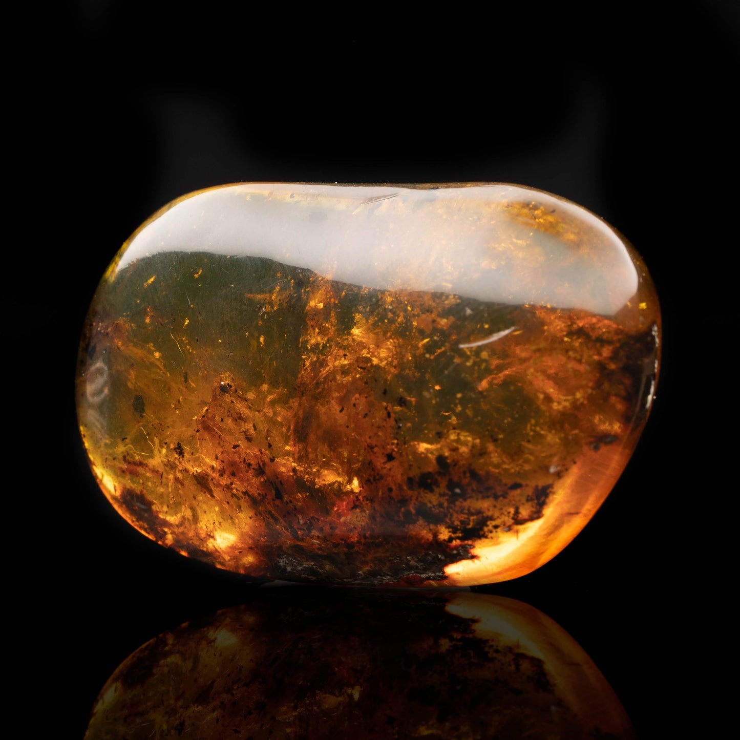 Baltic Amber With Plant Matter // 26.15 Grams