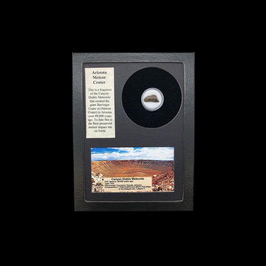 Meteorito de Arizona en caja de coleccionista 