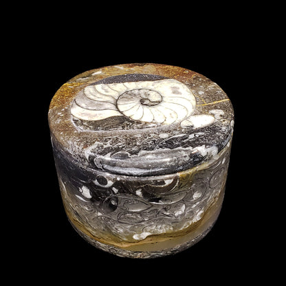 Ammonite and Belemnite Small Circular Container
