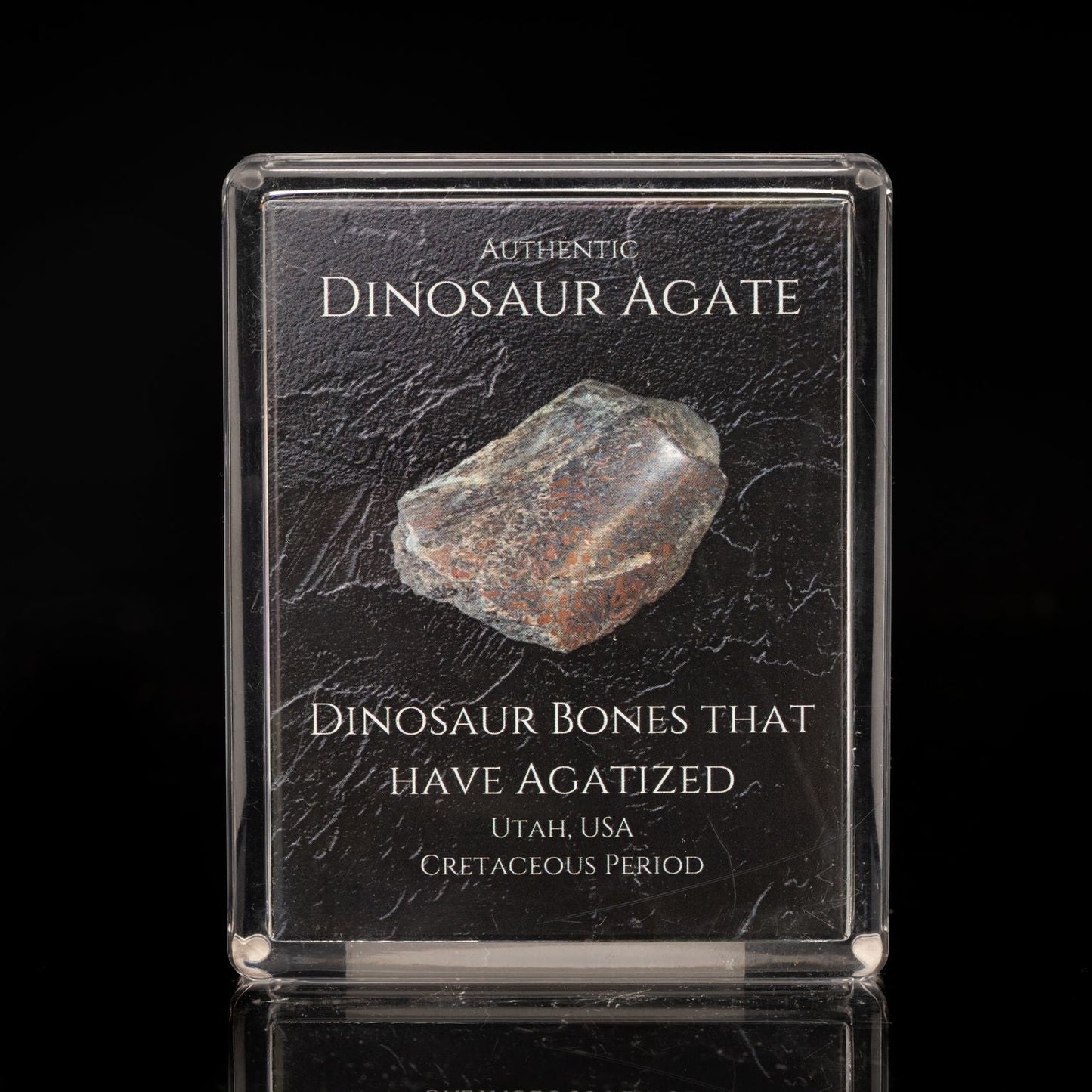 Dinosaur Agate Fossil Box