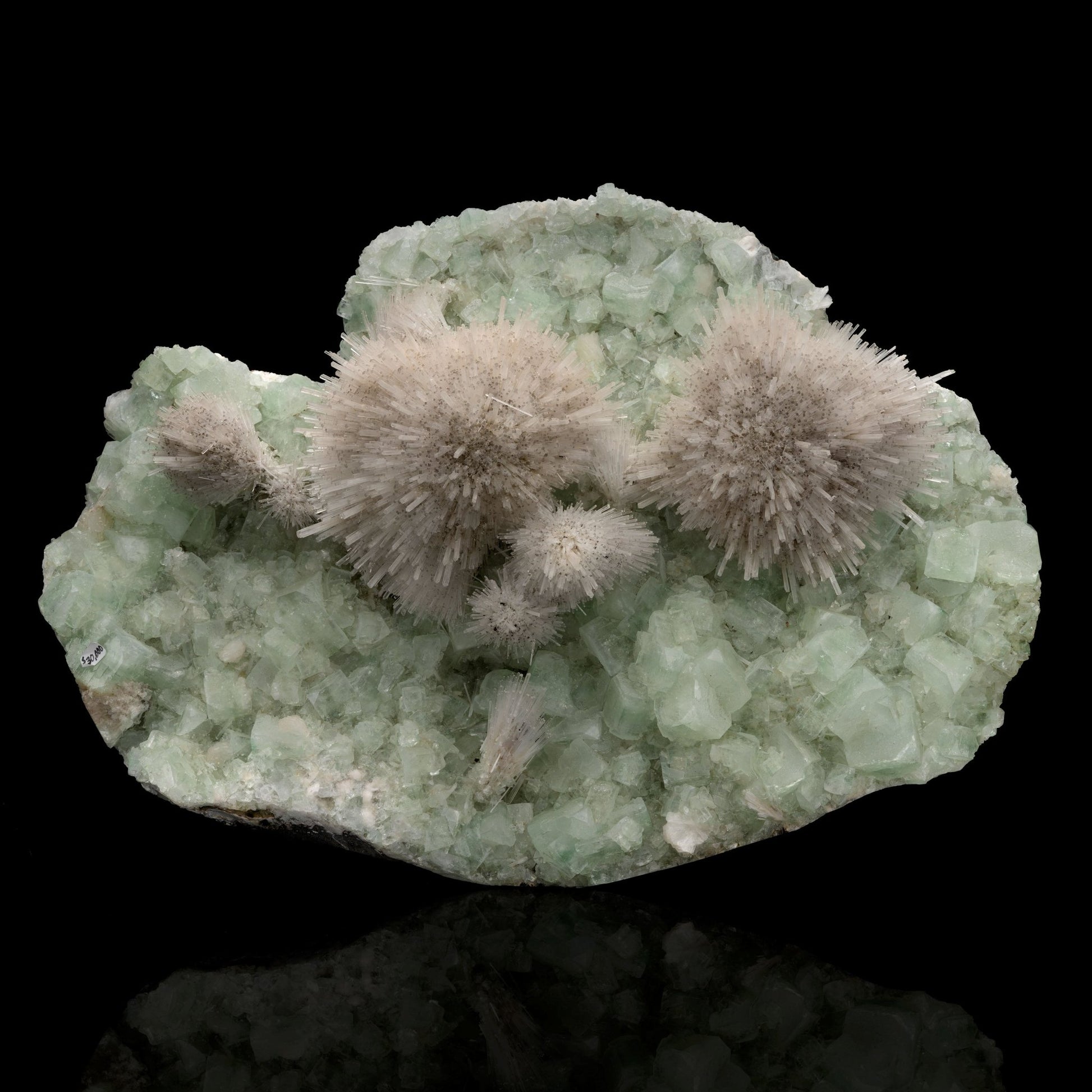 Mesolite on Green Apophyllite - Astro West