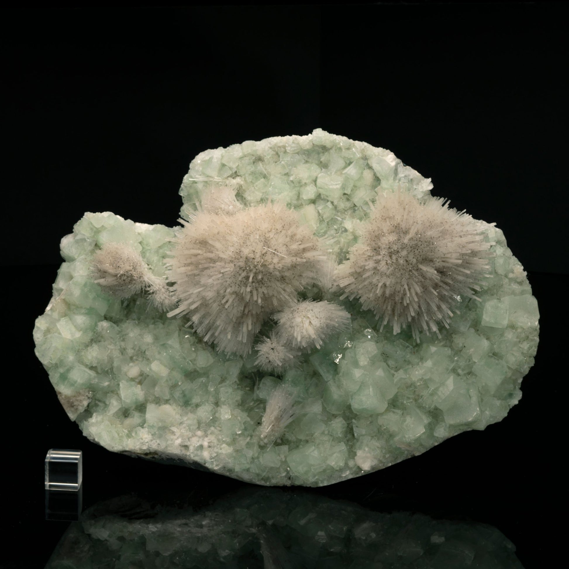 Mesolite on Green Apophyllite - Astro West