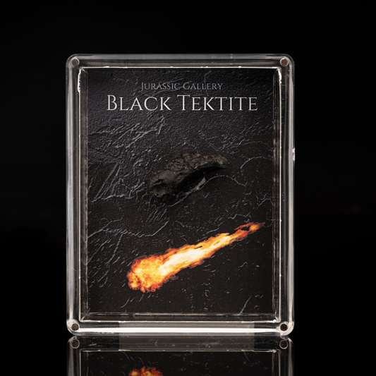 Black Tektite Box