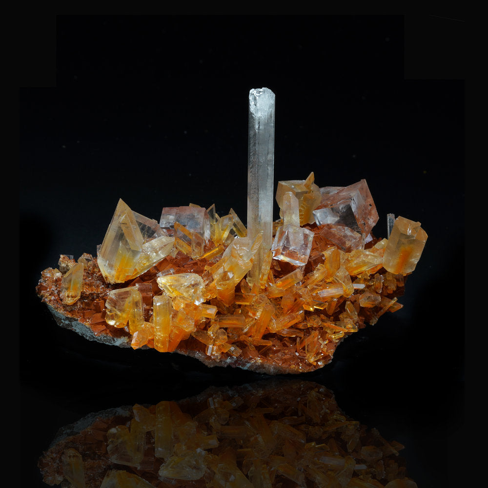 A1579_Selenite_and_Hallite_1