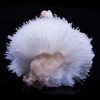 A771_Scolecite_On_Stilbite_0