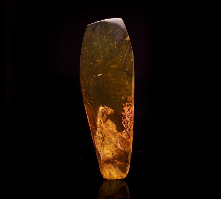 Baltic Amber With Non-Biting Midge and Gnats // 6.03 Grams