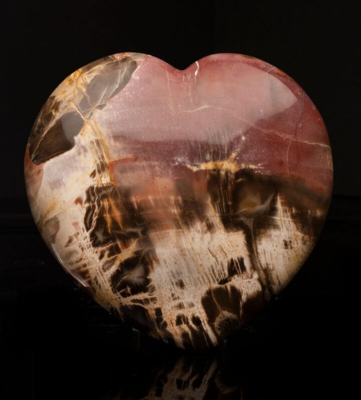 Petrified Wood Heart // 2.93 Lb.