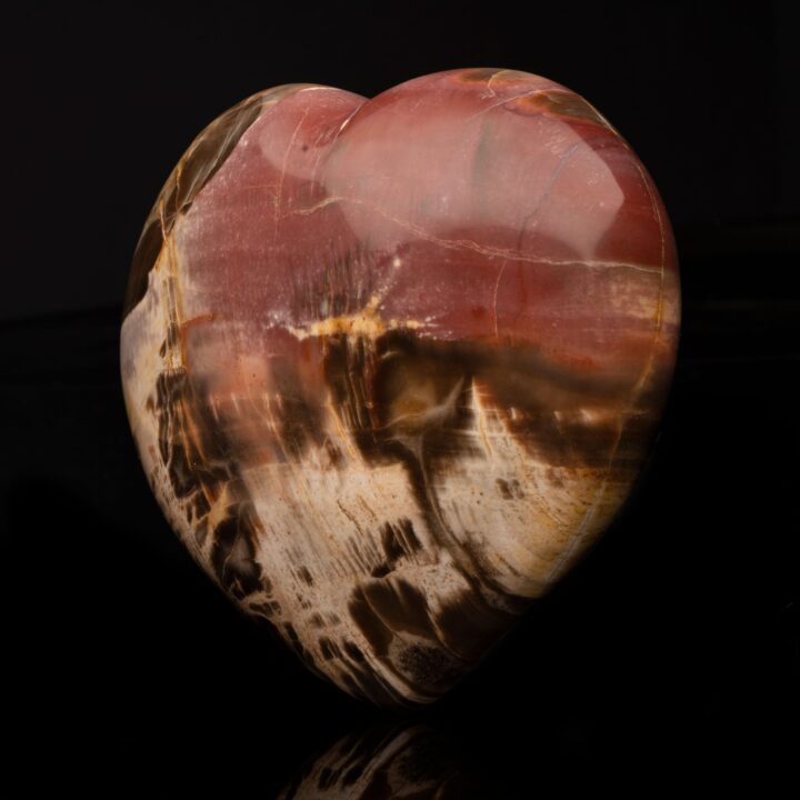 Petrified Wood Heart // 2.93 Lb. - Image 2