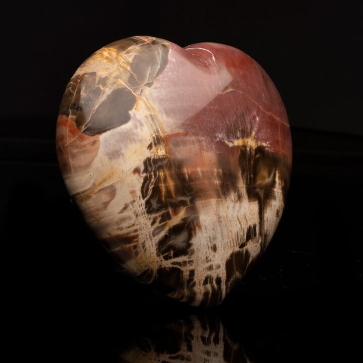 Petrified Wood Heart // 2.93 Lb. - Image 3