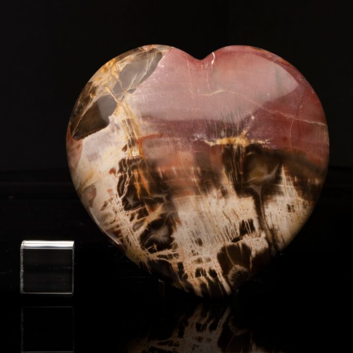 Petrified Wood Heart // 2.93 Lb. - Image 4
