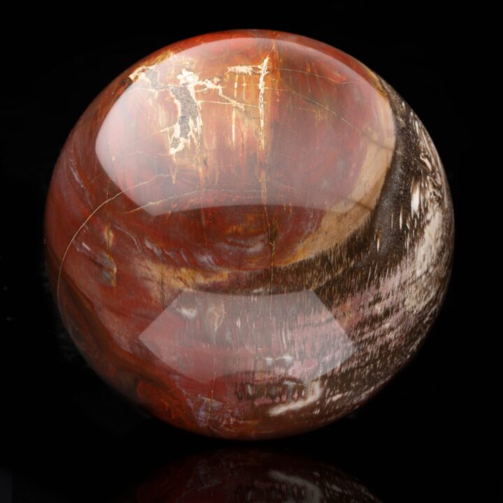 Hand-Carved Petrified Wood Sphere From Arizona // 3.20 Lb. - Image 2
