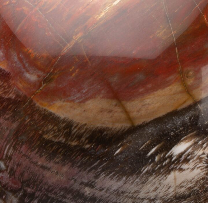 Hand-Carved Petrified Wood Sphere From Arizona // 3.20 Lb. - Image 4