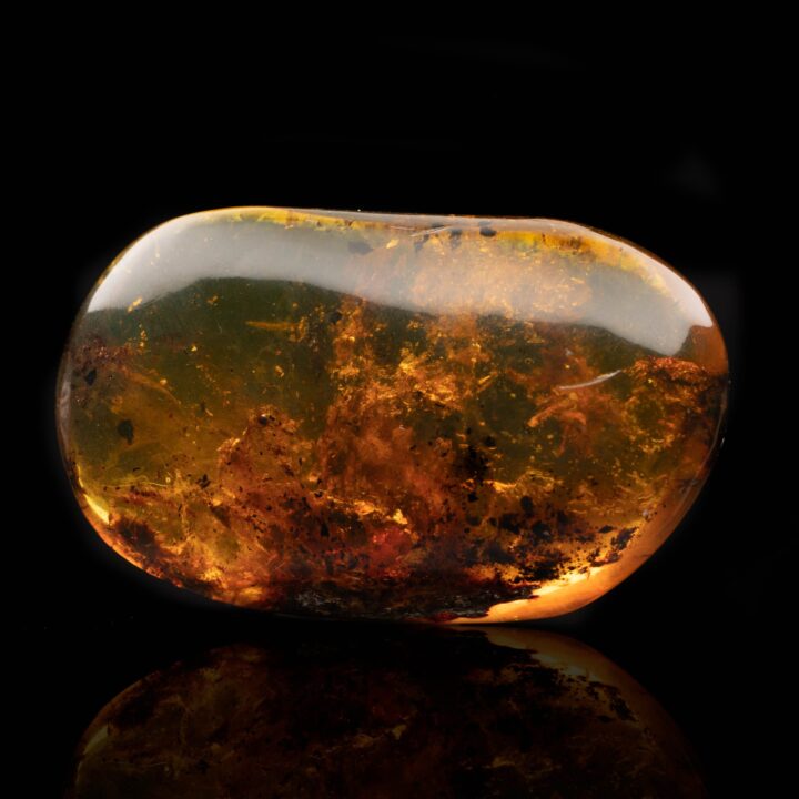 Baltic Amber With Plant Matter // 26.15 Grams