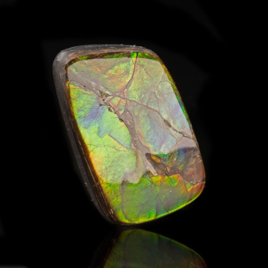 Ammolite order Cabochon