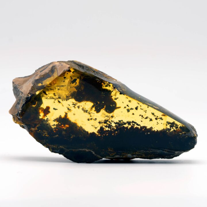 Mexican Amber With Bee // 48.27 Grams