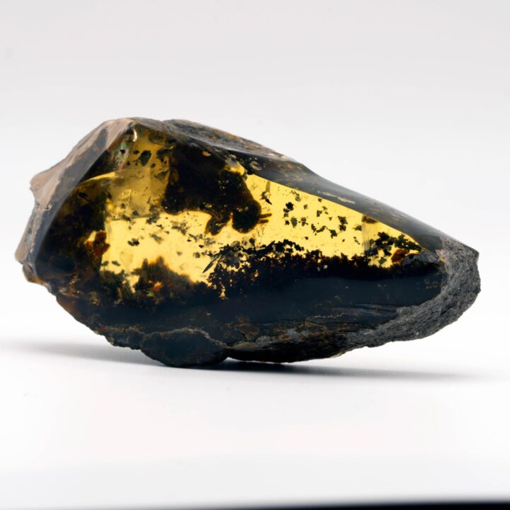 Mexican Amber With Bee // 48.27 Grams - Image 2