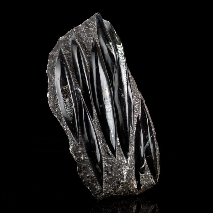 Hand‑Carved Belemnite Orthoceras Statue
