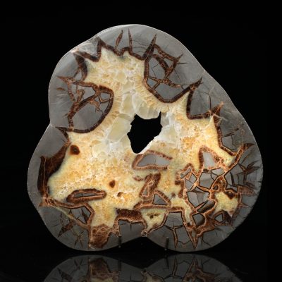 Unique Septarian Stone Slice - Natural Décor