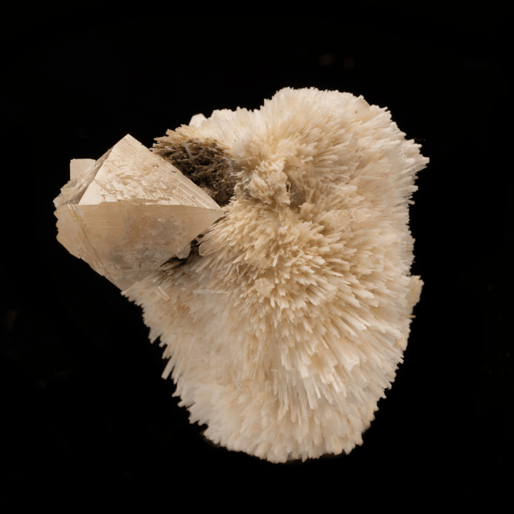 Side view of Powellite on Mesolite with Apophyllite from Pune, India