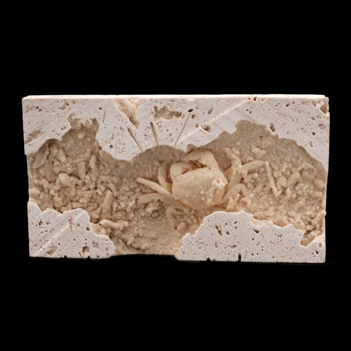Potamon Crab in Travertine // 2.77 Lb.